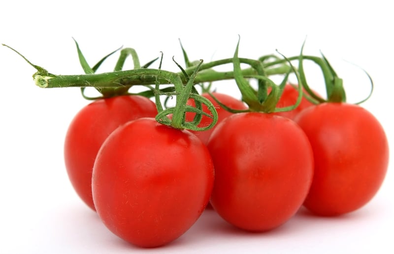 Food Variety