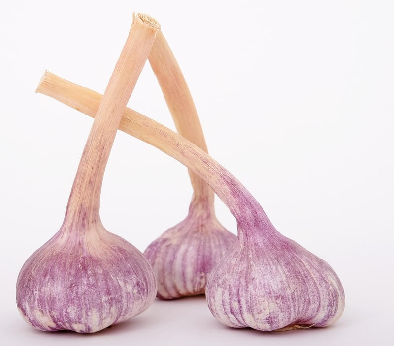 Fresh Ingredients